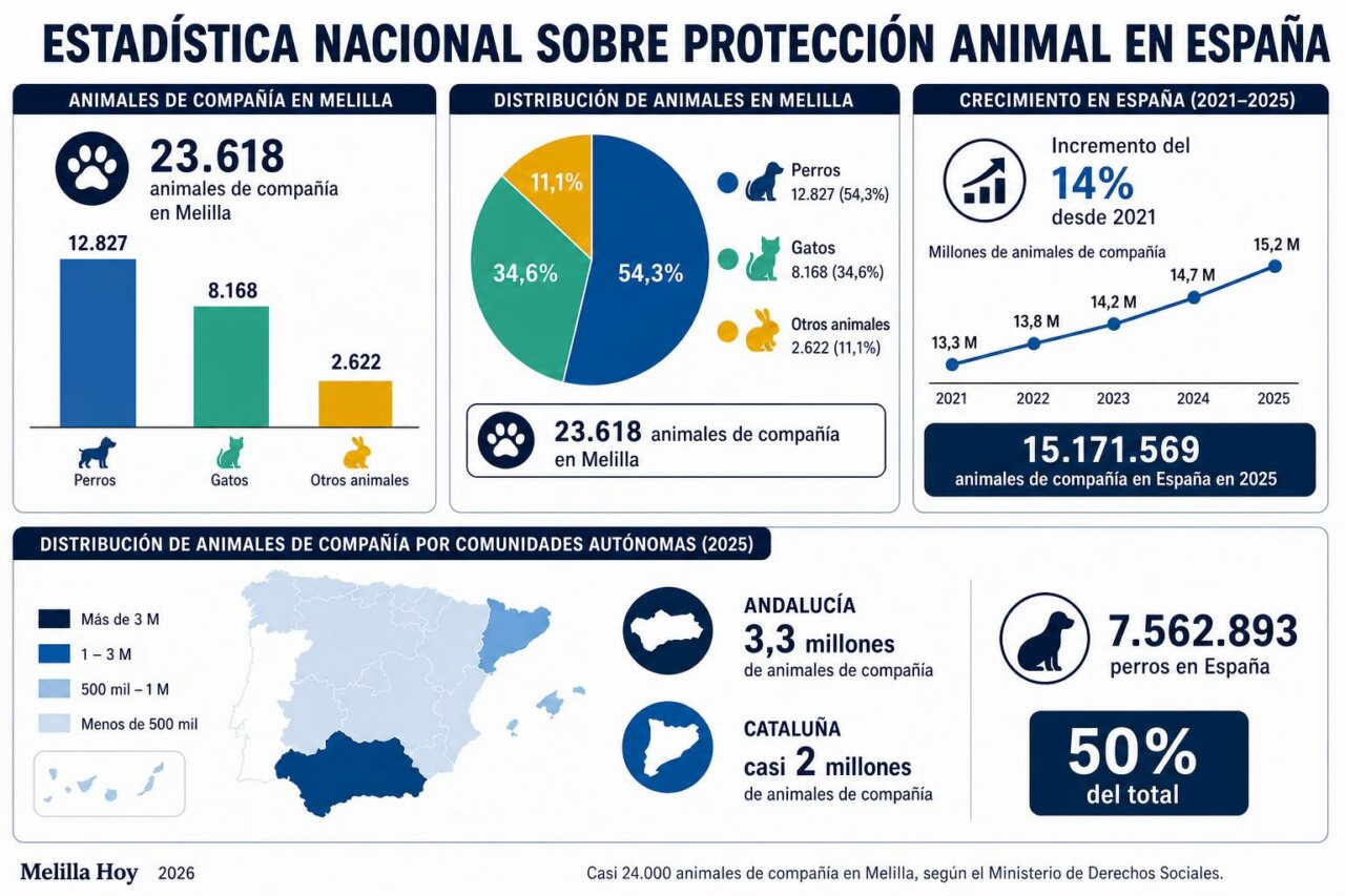 Infografía de la noticia