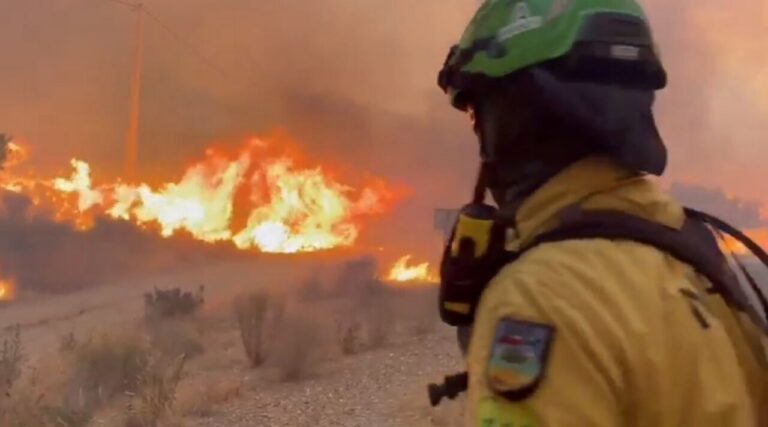 Bombero observando un incendio forestal en Almería