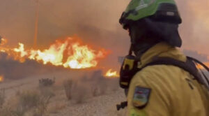 Firefighter in yellow protective gear and helmet watches flames during a wildfire.