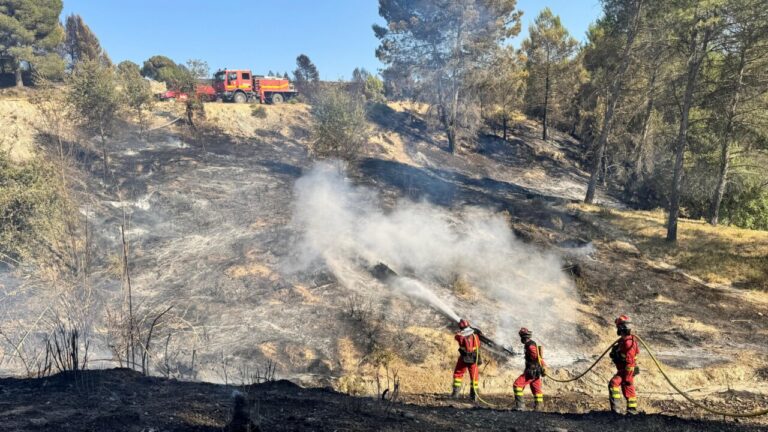 Bomberos apagando un incendio forestal en España