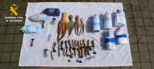 Aparejos de pesca ilegales confiscados por la Guardia Civil en Melilla