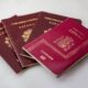 Several burgundy Spanish passports fanned together on a white surface.