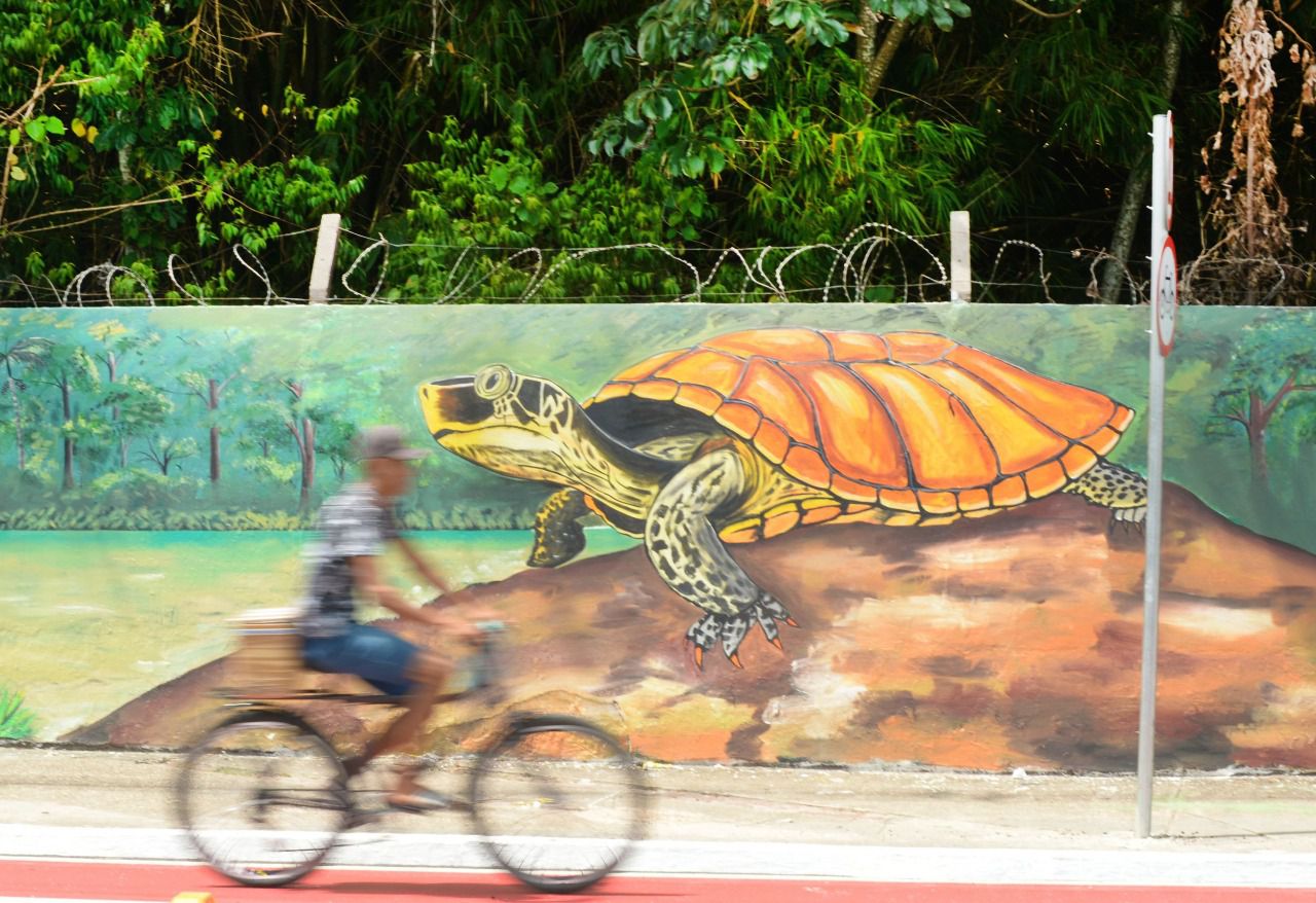 Mural de una tortuga en un entorno natural con un ciclista en movimiento