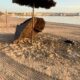 Sombrilla caída en la playa de la Hípica tras actos vandálicos