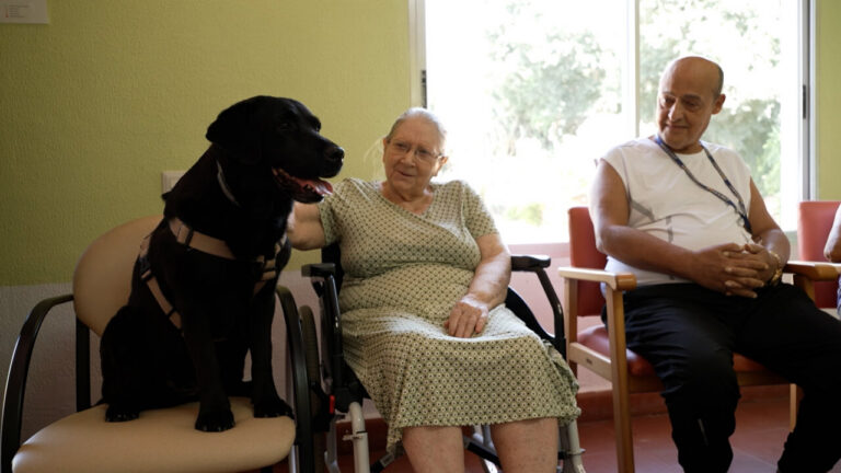 Perro negro en una sesión de terapia asistida con personas mayores