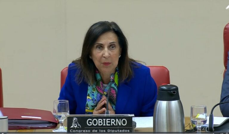 Woman in a royal blue blazer speaks into a microphone at a government meeting, with a sign reading 'GOBIERNO Congreso de los Diputados' on the desk.