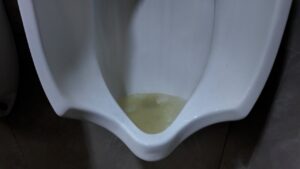 Estado deficiente de un urinario en el recinto ferial de Melilla
