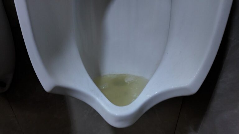 Estado deficiente de un urinario en el recinto ferial de Melilla