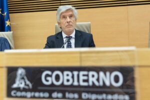 Fernando Grande-Marlaska en una sesión del Congreso de los Diputados