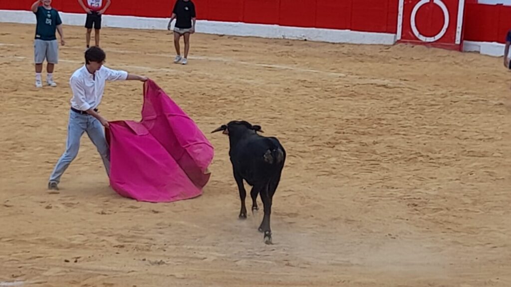 Joven con capote enfrentándose a una vaquilla en la Plaza de Toros