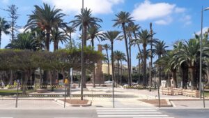 Palm-tree lined plaza under renovation with construction fencing and yellow–black caution tape, seen from a crosswalk.