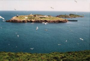 Vista de las Islas Chafarinas con mar y aves volando