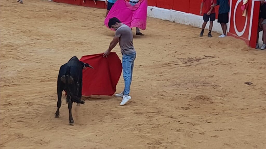 Man in a gray shirt and jeans holds a red cape to guide a black bull across a sandy arena floor during a bullfighting demonstration.