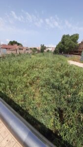Vista del Río de Oro con vegetación densa y edificios al fondo