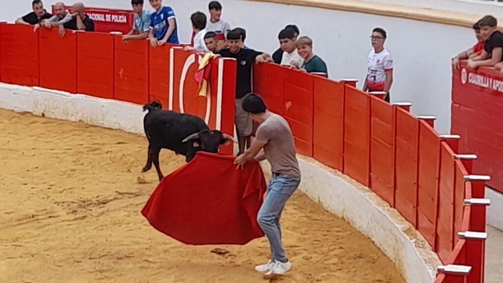 Man in casual clothes uses a red cape to distract a black bull in a bullring, with spectators watching from behind red barriers.