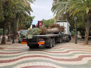 Camión transportando palmeras en el Parque Hernández durante su remodelación