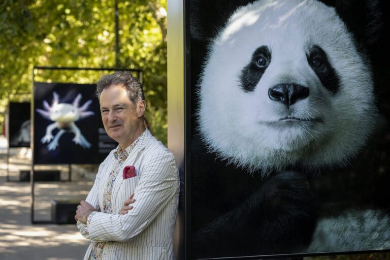Fotografía de Tim Flach junto a una imagen de un panda en una exposición.
