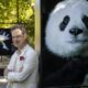 Fotografía de Tim Flach junto a una imagen de un panda en una exposición.