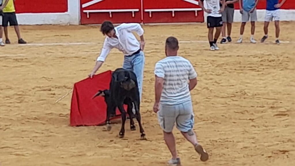 Trainer in a white shirt and light jeans directs a black bull with a red cape in a sandy arena, with onlookers in the background.