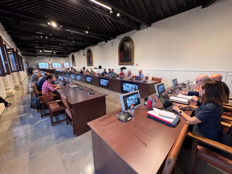 Reunión del Consejo de Gobierno de la Universidad de Granada en un salón