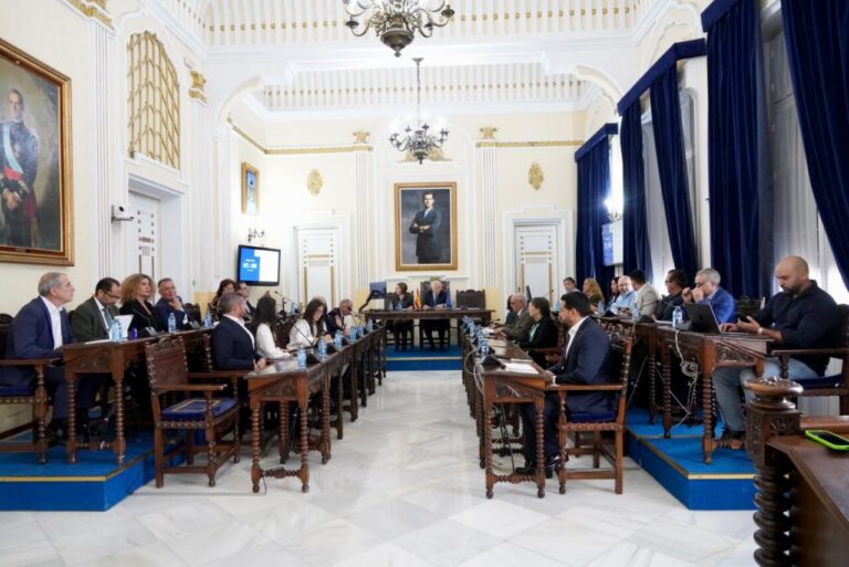 Vista general de una sesión plenaria, con personas sentadas en sus escaños en una sala.