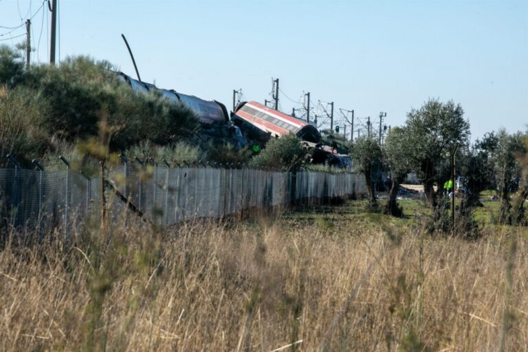Varios vagones de tren descarrilados junto a la vía, entre matorrales y vegetación